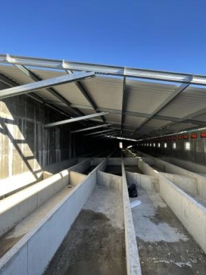 Baracska sertéstartó istálló - 2021 -07