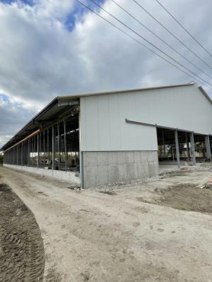 Dávod szarvasmarha istálló - 2021 - 04
