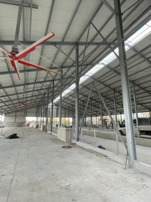 Dávod szarvasmarha istálló - 2021 - 07