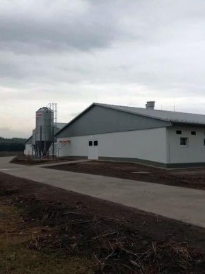 Kecel sertéstartó épületek - 2019 - 06