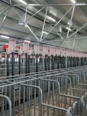 Kecel sertéstartó épületek - 2019 - 08