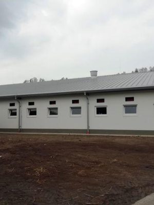 Kecel sertéstartó épületek - 2019 - 11