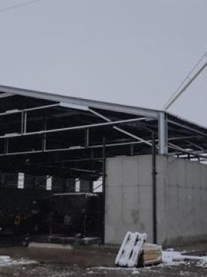 Kórós magtár - 2020 - 02